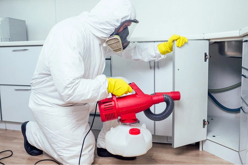 exterminator jackson ms