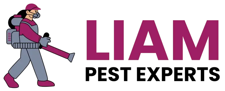 Pest Control Experts Jackson MS